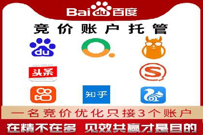 竞价代运营成功案例：助力企业抢占市场份额